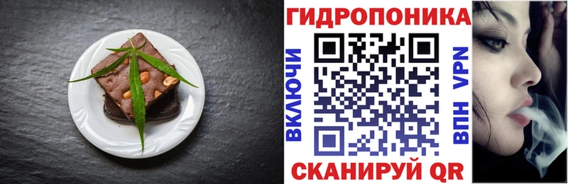 мега вход  как найти закладки  Оренбург  Еда ТГК конопля 