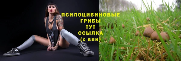 дживик Бронницы