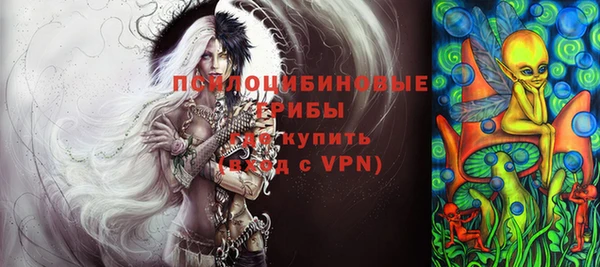 дживик Бронницы