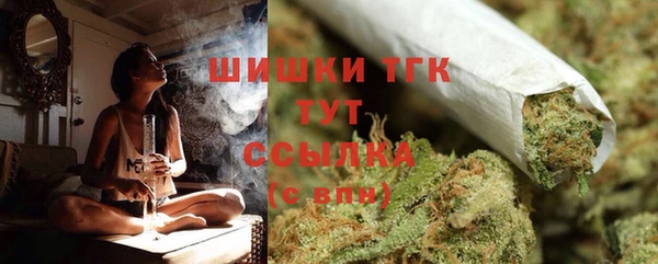 дживик Бронницы
