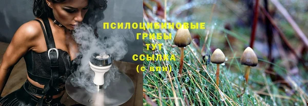 дживик Бронницы